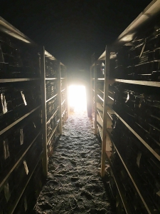 The new shelves in the Horemheb storage room. Photo: Ali Jelene Scheers.