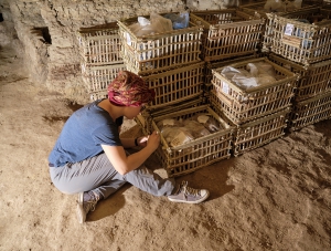 Inventorying the labels. Photo: Nicola Dell’Aquila.