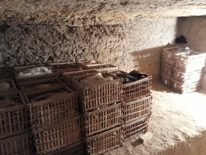 Reorganised skeletal remains now stored in the subterranean rooms in the tomb of Horemheb. Photo: Daniel Soliman.